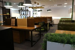 Reorganization with Japanese capital, 2017